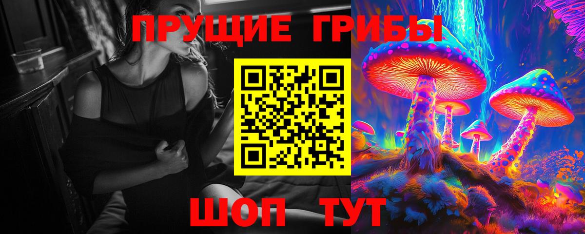 Галлюциногенные грибы Cubensis Каменск-Уральский