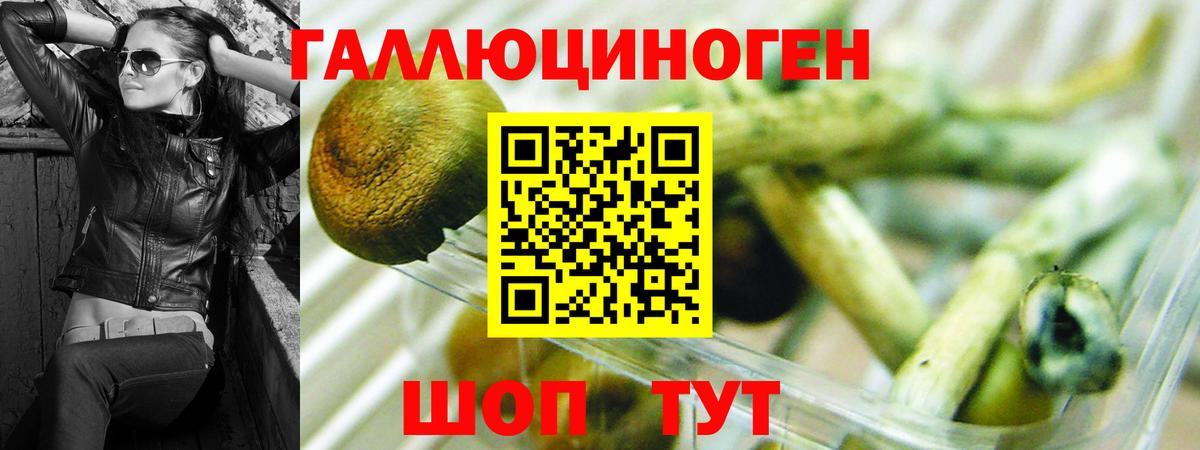 Псилоцибиновые грибы Psilocybe  цены наркотик  Каменск-Уральский  Вход с VPN 